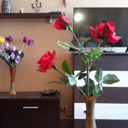 Romantica Palmeras Los Realejos
