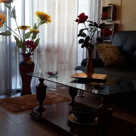Romantica Palmeras Apartamento